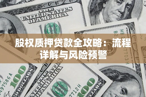 武汉股权质押贷款全攻略：流程详解与风险预警
