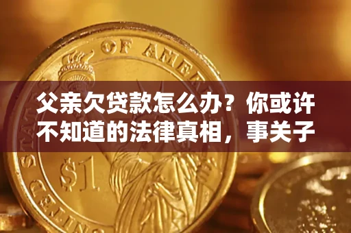 武汉父亲欠贷款怎么办？你或许不知道的法律真相，事关子女未来