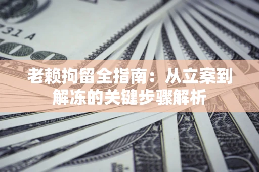 武汉老赖拘留全指南：从立案到解冻的关键步骤解析