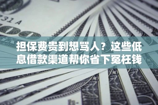 武汉担保费贵到想骂人？这些低息借款渠道帮你省下冤枉钱