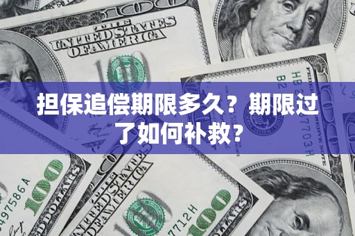 武汉担保追偿期限多久？期限过了如何补救？