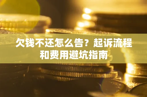武汉欠钱不还怎么告？起诉流程和费用避坑指南