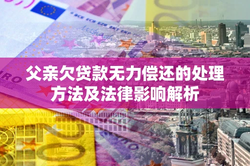 武汉父亲欠贷款无力偿还的处理方法及法律影响解析