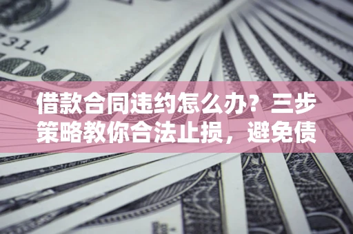 武汉借款合同违约怎么办？三步策略教你合法止损，避免债务危机升级