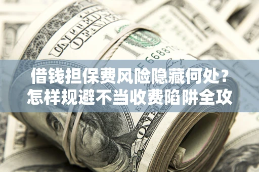武汉借钱担保费风险隐藏何处？怎样规避不当收费陷阱全攻略！